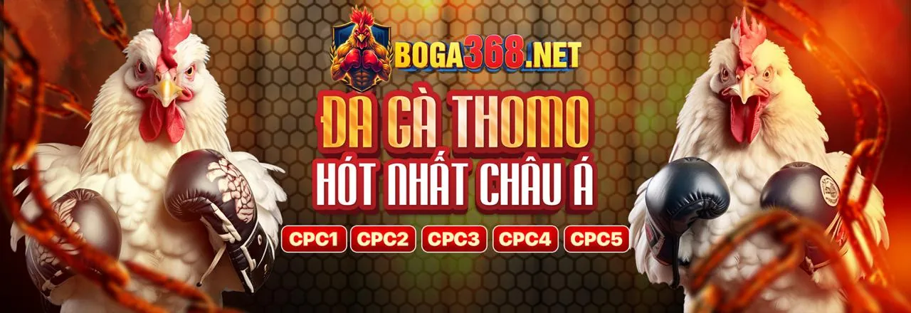 Đá Gà Trực Tiếp Mộc Hóa - Hướng Dẫn Đặt Cược