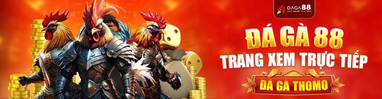 Đá gà trực tiếp Mộc Hóa sôi động